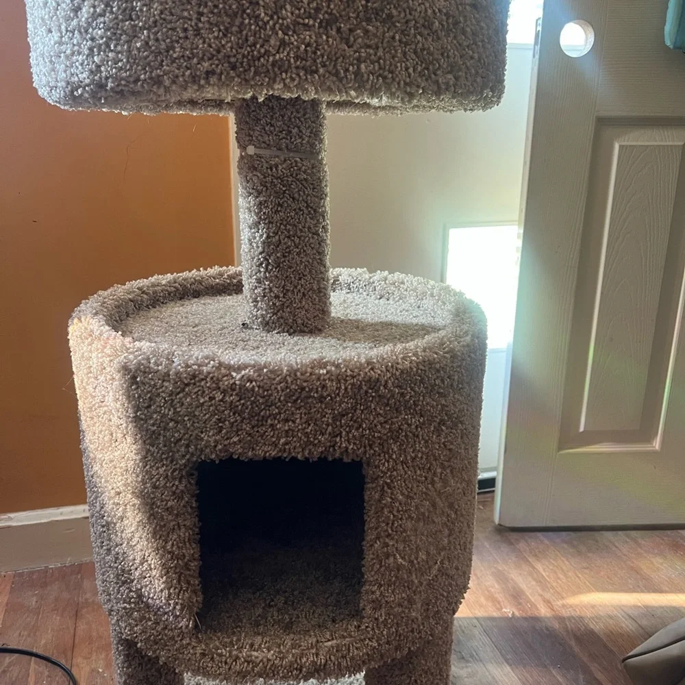 Cat house/scratching post
